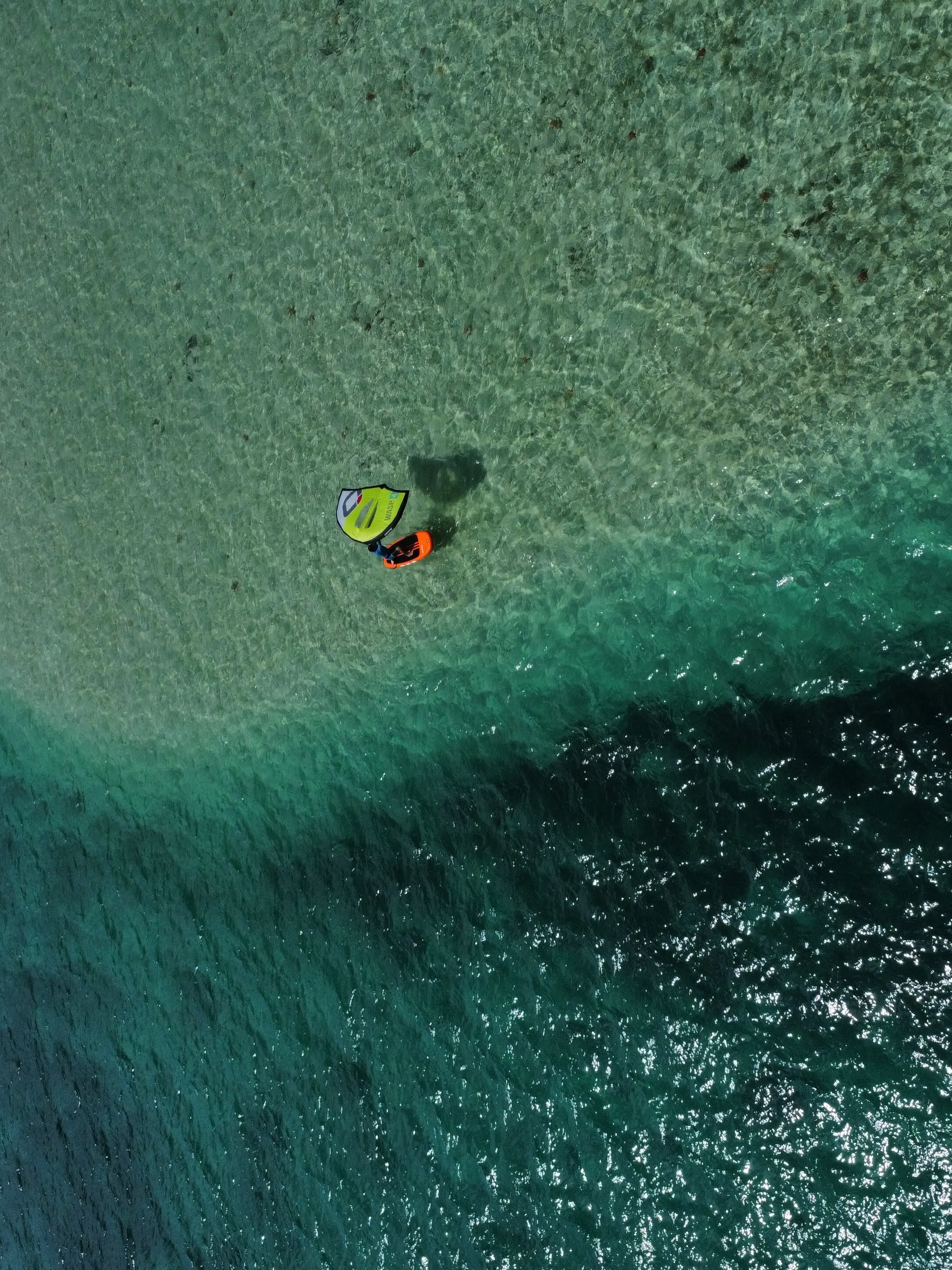 Advanced Snorkel & Reef Expedition